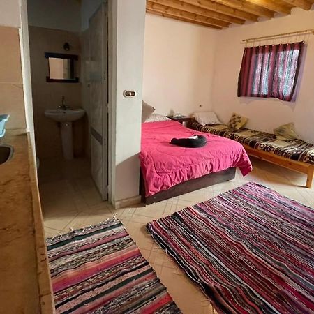 Dahab Tribe Guest House المظهر الخارجي الصورة