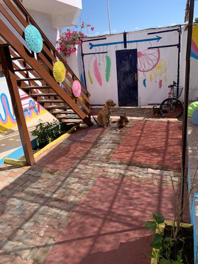 Dahab Tribe Guest House المظهر الخارجي الصورة