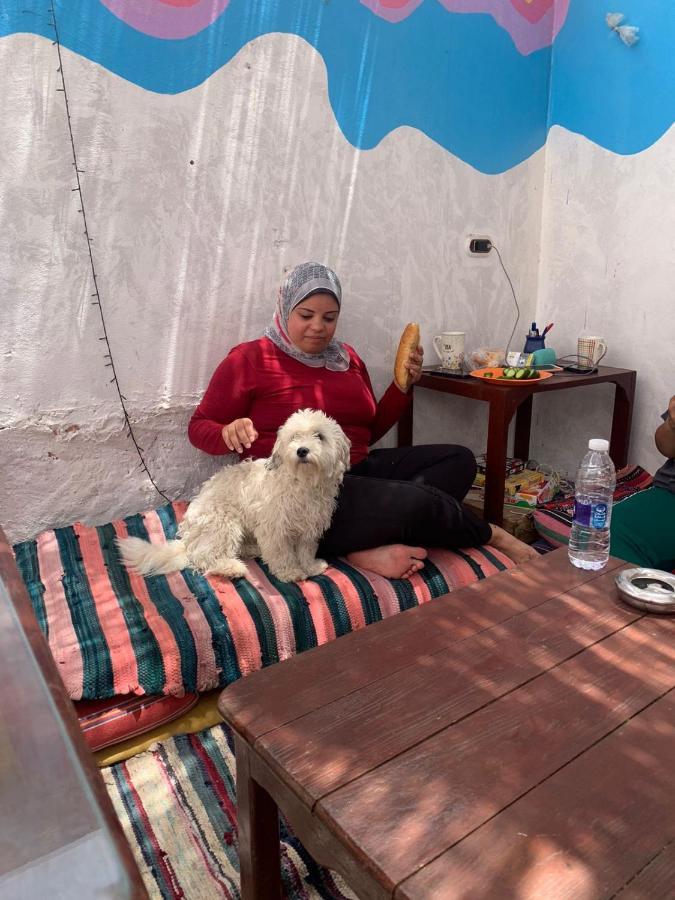 Dahab Tribe Guest House المظهر الخارجي الصورة