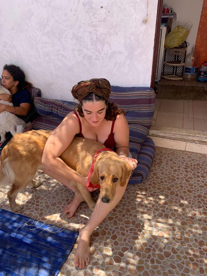 Dahab Tribe Guest House المظهر الخارجي الصورة