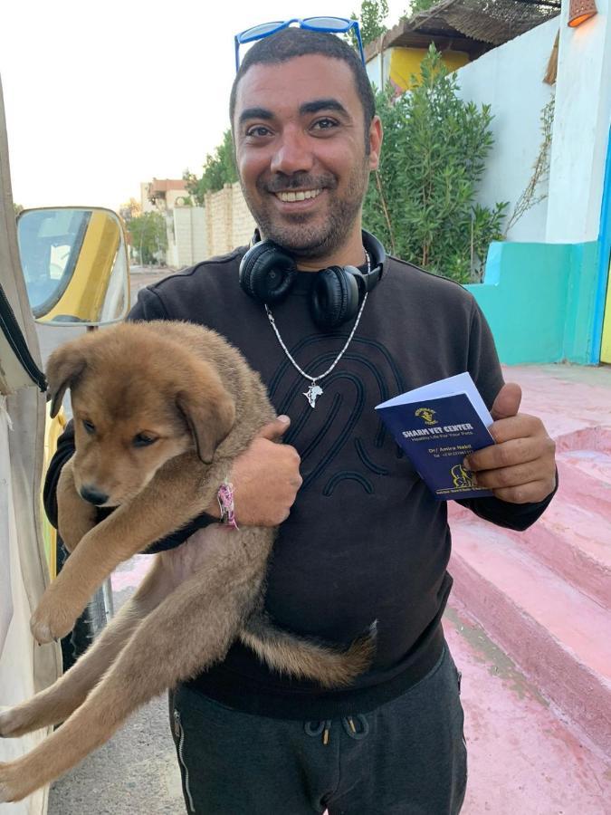Dahab Tribe Guest House المظهر الخارجي الصورة