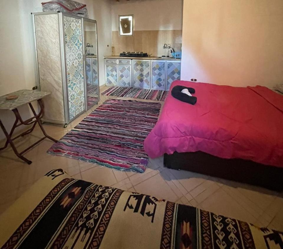Dahab Tribe Guest House المظهر الخارجي الصورة