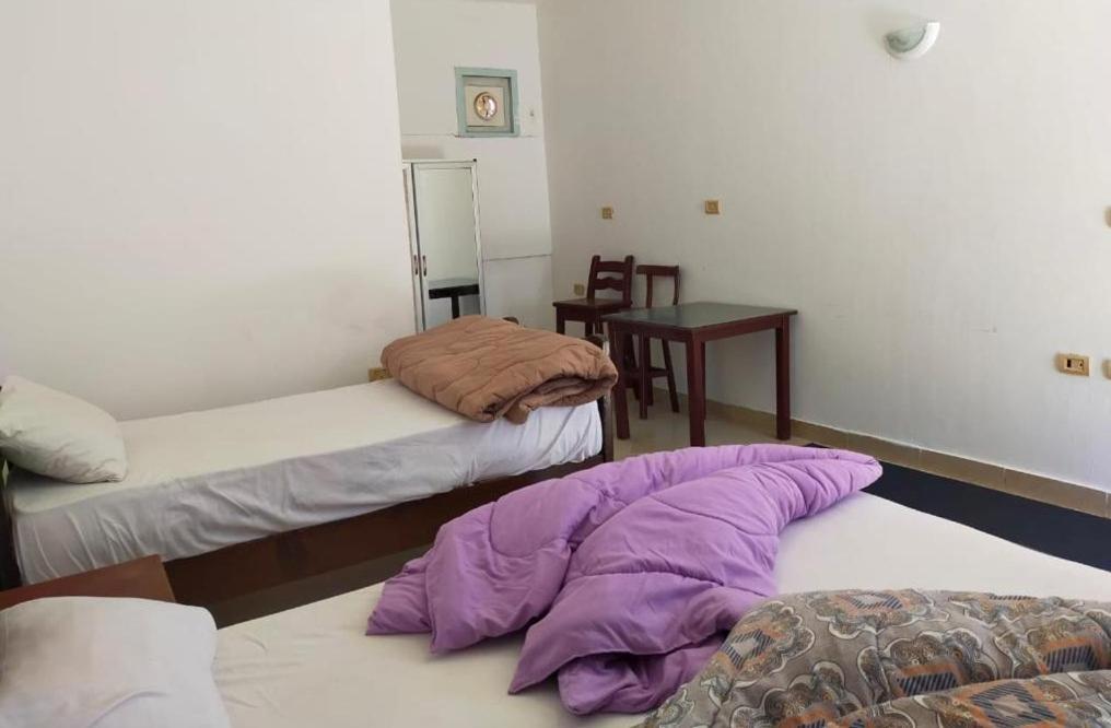 Dahab Tribe Guest House المظهر الخارجي الصورة