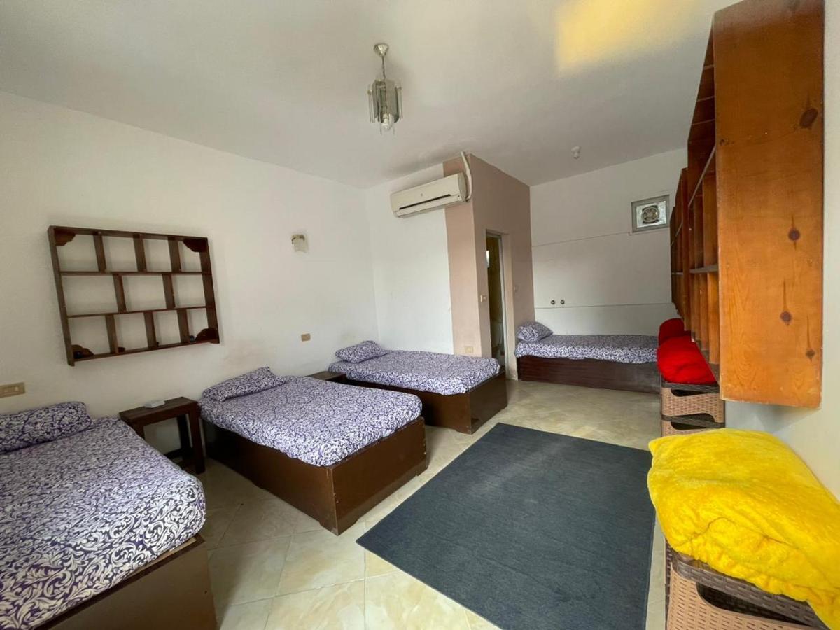 Dahab Tribe Guest House المظهر الخارجي الصورة